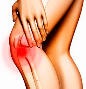 La estructura anatómica de la rodilla